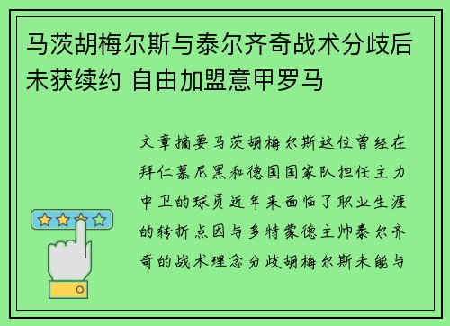 马茨胡梅尔斯与泰尔齐奇战术分歧后未获续约 自由加盟意甲罗马 马茨胡梅尔斯与泰尔齐奇战术分歧后未获续约 自由加盟意甲罗马
